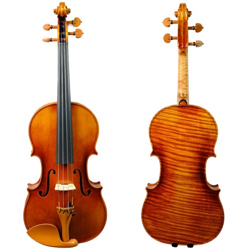 Completo violino professionale