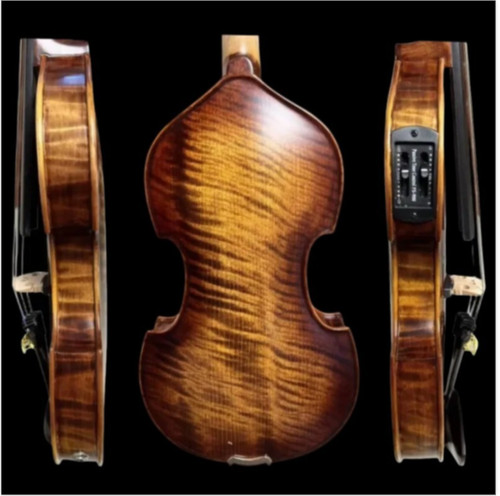 Violino elettrico stile